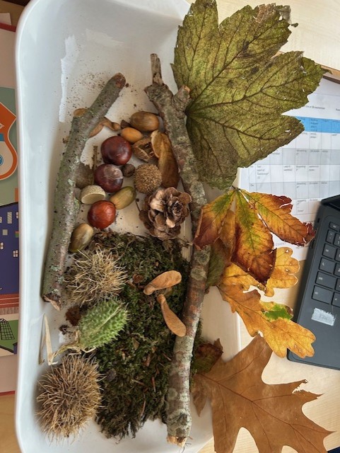 Herfsthuiswerk project